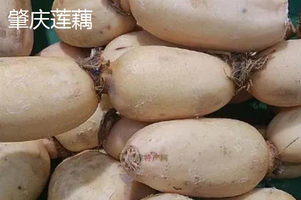 莲藕的产地有哪些，洪湖、新垦和襄陵的莲藕出名