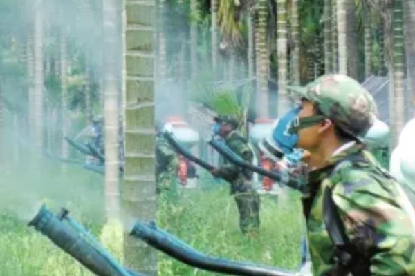 槟榔树适合在什么地区种植，适合在广西、广东、云南等地种植