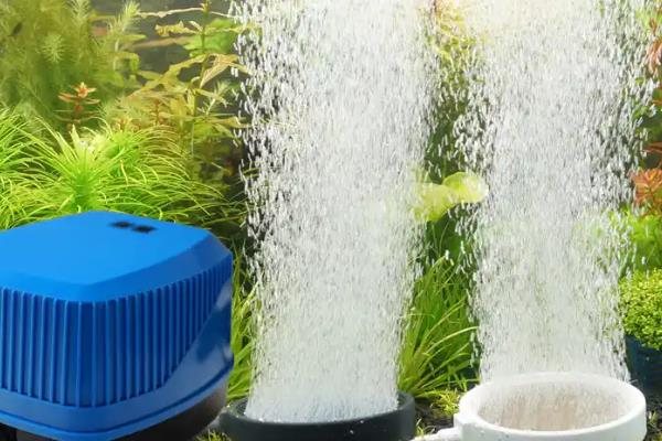 鱼缺氧打氧多久恢复，短时间缺氧的话充氧几分钟即可