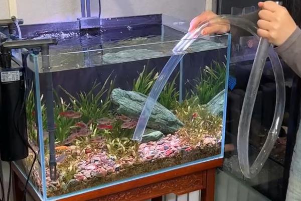 鱼缺氧打氧多久恢复，短时间缺氧的话充氧几分钟即可