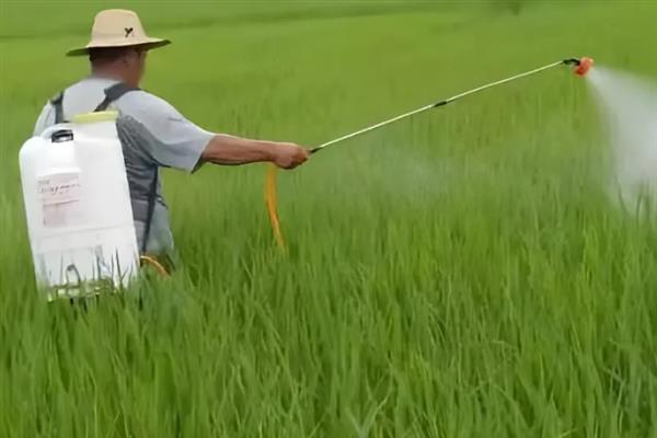 农药复配的准则，需遵循以下6点