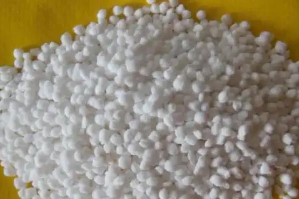 苍术的适宜种植地,适合种在向阳的山坡上