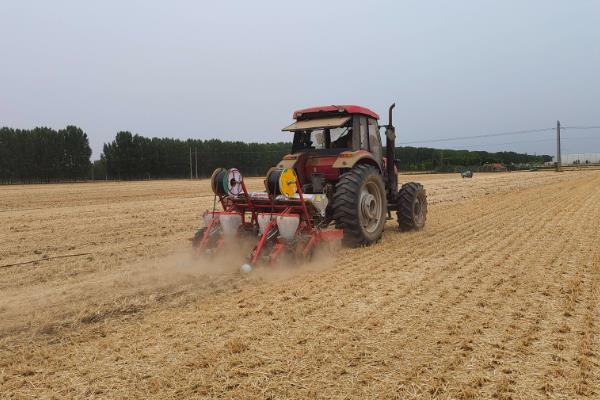 苍术的适宜种植地,适合种在向阳的山坡上