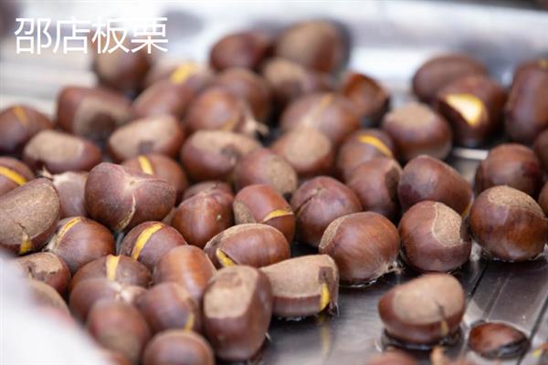 板栗的种类，常见的有北方栗、南方栗等