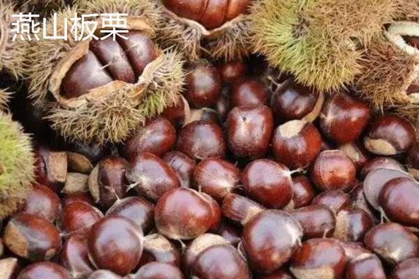 板栗的种类，常见的有北方栗、南方栗等