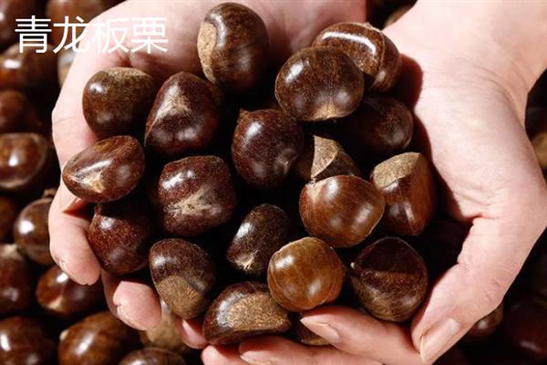 板栗的种类，常见的有北方栗、南方栗等
