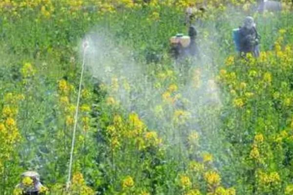 腐植酸肥料什么时候使用，主要用于土壤干旱受涝、酸碱失衡等关键期