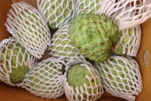 释迦果是哪个季节的，果实一般在夏秋季采收