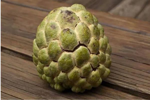 释迦果是哪个季节的，果实一般在夏秋季采收