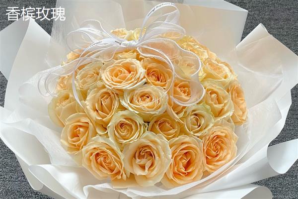 香槟玫瑰与黄玫瑰有什么区别，颜色、花语均不同