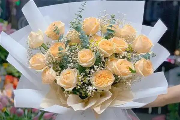 香槟玫瑰与黄玫瑰有什么区别，颜色、花语均不同