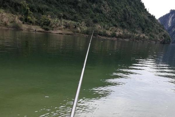 春季钓鲫鱼的适宜水深，早春需确保深度达到2米以上