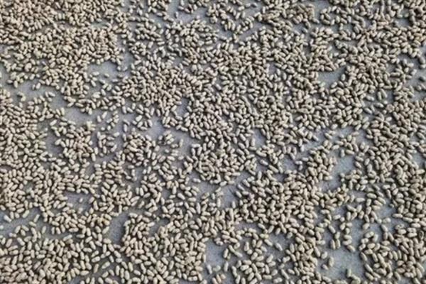 对有机蔬菜施肥要注意什么,以有机肥为主并辅以生物肥料