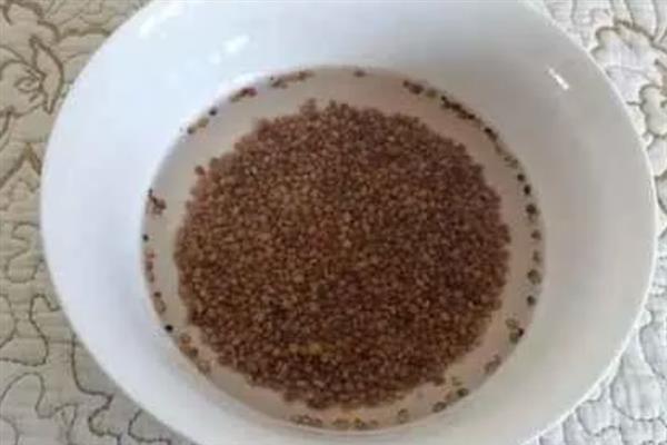 对有机蔬菜施肥要注意什么,以有机肥为主并辅以生物肥料