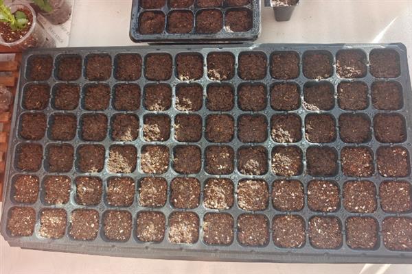 对有机蔬菜施肥要注意什么,以有机肥为主并辅以生物肥料