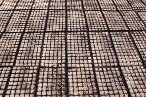 对有机蔬菜施肥要注意什么,以有机肥为主并辅以生物肥料