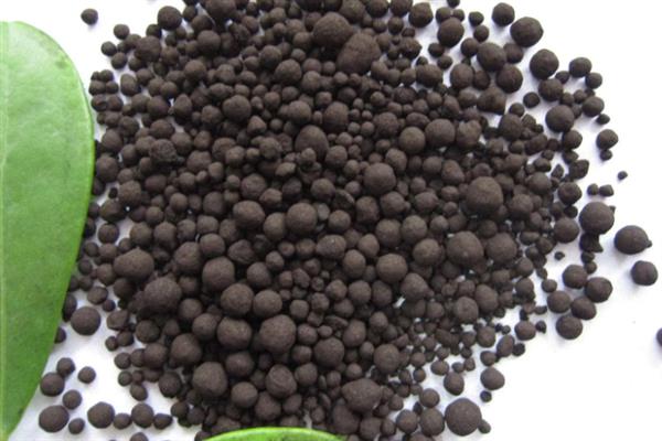 对有机蔬菜施肥要注意什么,以有机肥为主并辅以生物肥料