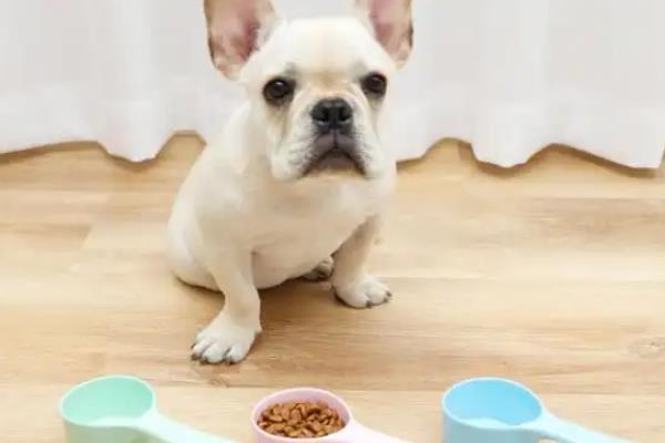 法斗的体长标准，体长标准是略大于肩高