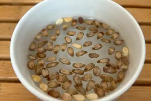 如何种植手捻葫芦，结瓜期要定期追施磷钾肥
