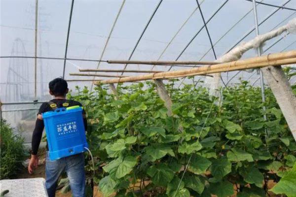 多抗霉素的作用,可用于粮食作物的病害防治