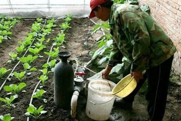 冬天露天蔬菜多久浇水一次，每15天左右浇一次水