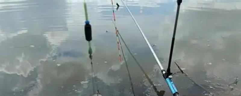 夏季钓鱼用什么漂，可用芦苇制作的枣核漂