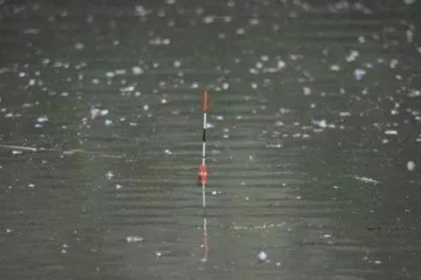 夏季钓鱼用什么漂，可用芦苇制作的枣核漂