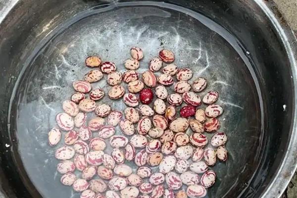 油豆角怎么种植，出苗后要中耕培土