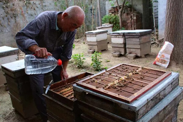 蜜蜂如何饲喂,一般在蜂群越冬之前进行