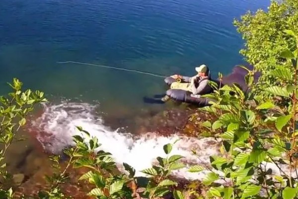 夏季钓黄尾鱼用哪种饵料，推荐自然饵料、商品饵料等