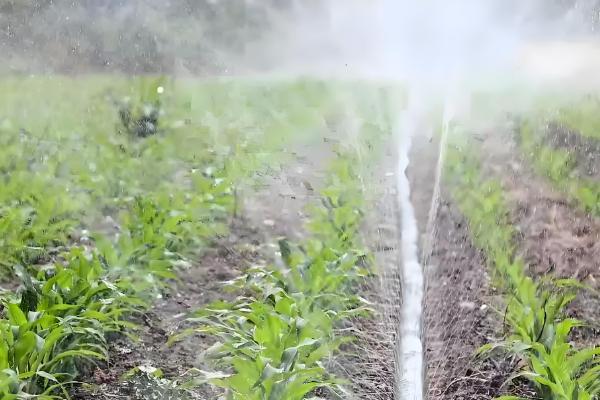 农业节水灌溉有什么方式，分为喷灌、微喷灌、滴灌等6种方法