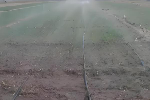 农业节水灌溉有什么方式，分为喷灌、微喷灌、滴灌等6种方法