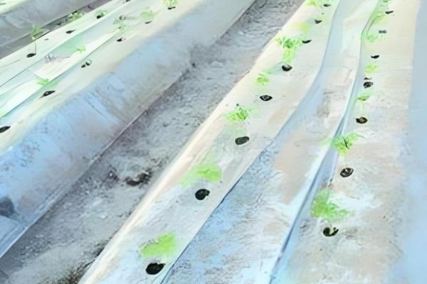 农业节水灌溉有什么方式，分为喷灌、微喷灌、滴灌等6种方法