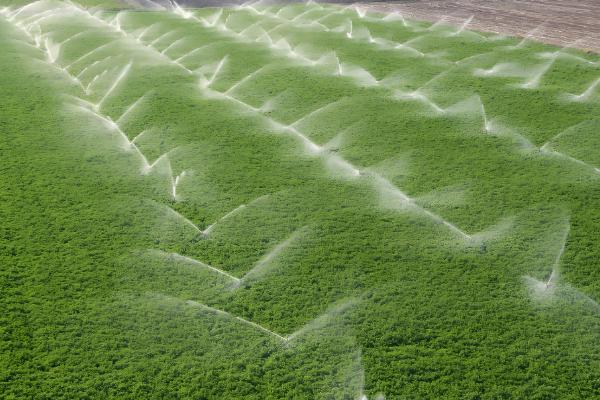 农业节水灌溉有什么方式，分为喷灌、微喷灌、滴灌等6种方法