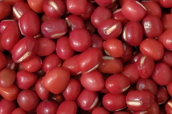 红豆里面出现黑色虫子怎么办,放在阴凉通风处它会自行爬出