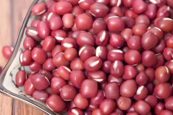 红豆里面出现黑色虫子怎么办,放在阴凉通风处它会自行爬出