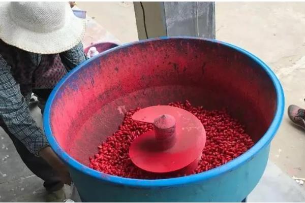 玉米的播种方法,播种前需晒种