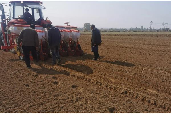 玉米的播种方法,播种前需晒种