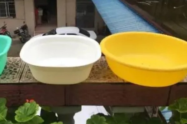 新手养鱼应该怎么养水，自来水要暴晒2-3天才能使用