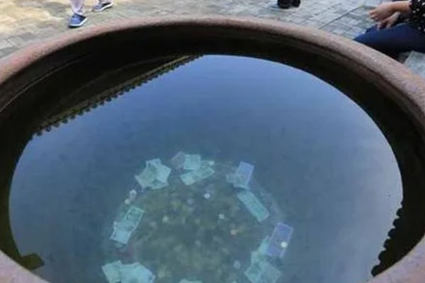 新手养鱼应该怎么养水，自来水要暴晒2-3天才能使用