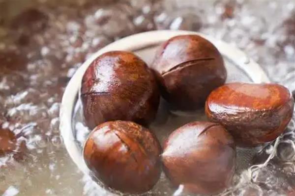 板栗有什么品种，迁西板栗、锥栗板栗等品种的知名度较高