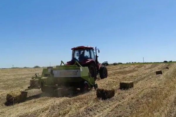 棉田中覆盖麦草的注意事项，麦草要用铡草机铡碎