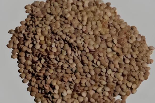 给蔬菜种子催芽要注意什么，根据种壳的厚度决定浸种时间