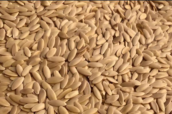 给蔬菜种子催芽要注意什么，根据种壳的厚度决定浸种时间