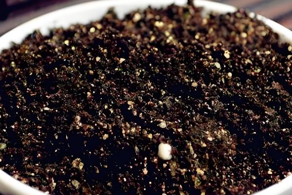 盆栽芙蓉牡丹的养殖方式，要确保温暖的环境