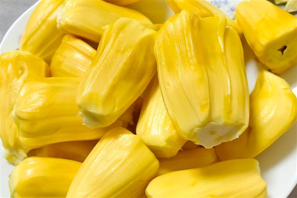 一年四季都开花结果的树,有香蕉、芒果树等