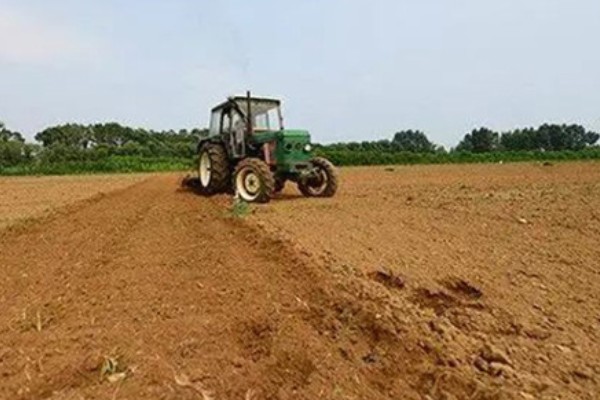 苦瓜的种植技术，开花结果期需水量较多