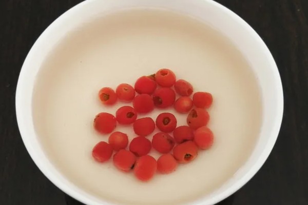 红豆杉怎么播种，用高锰酸钾溶液浸种消毒后再撒播