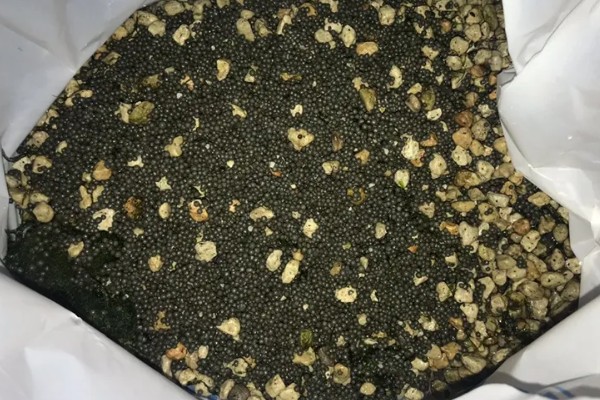 水草泥怎样铺，先要将水缸中的东西清理干净