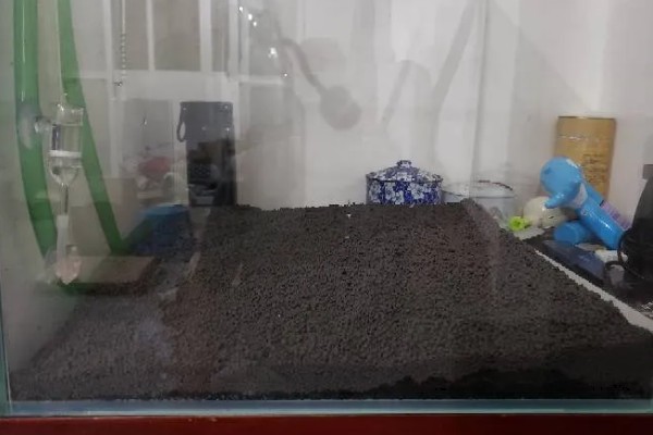 水草泥怎样铺，先要将水缸中的东西清理干净